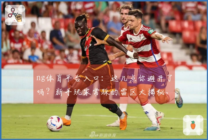 ng体育平台入口：这几点你避开了吗？新手玩家常踩的雷区大揭秘，少走弯路！