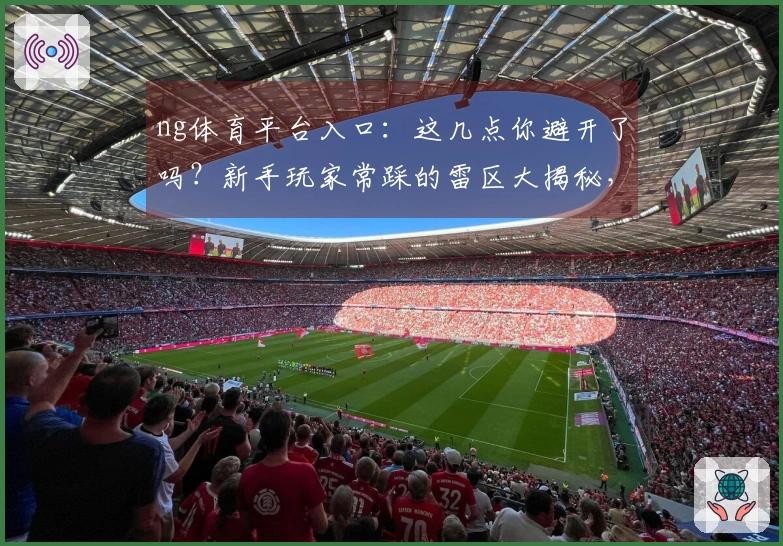 ng体育平台入口：这几点你避开了吗？新手玩家常踩的雷区大揭秘，少走弯路！